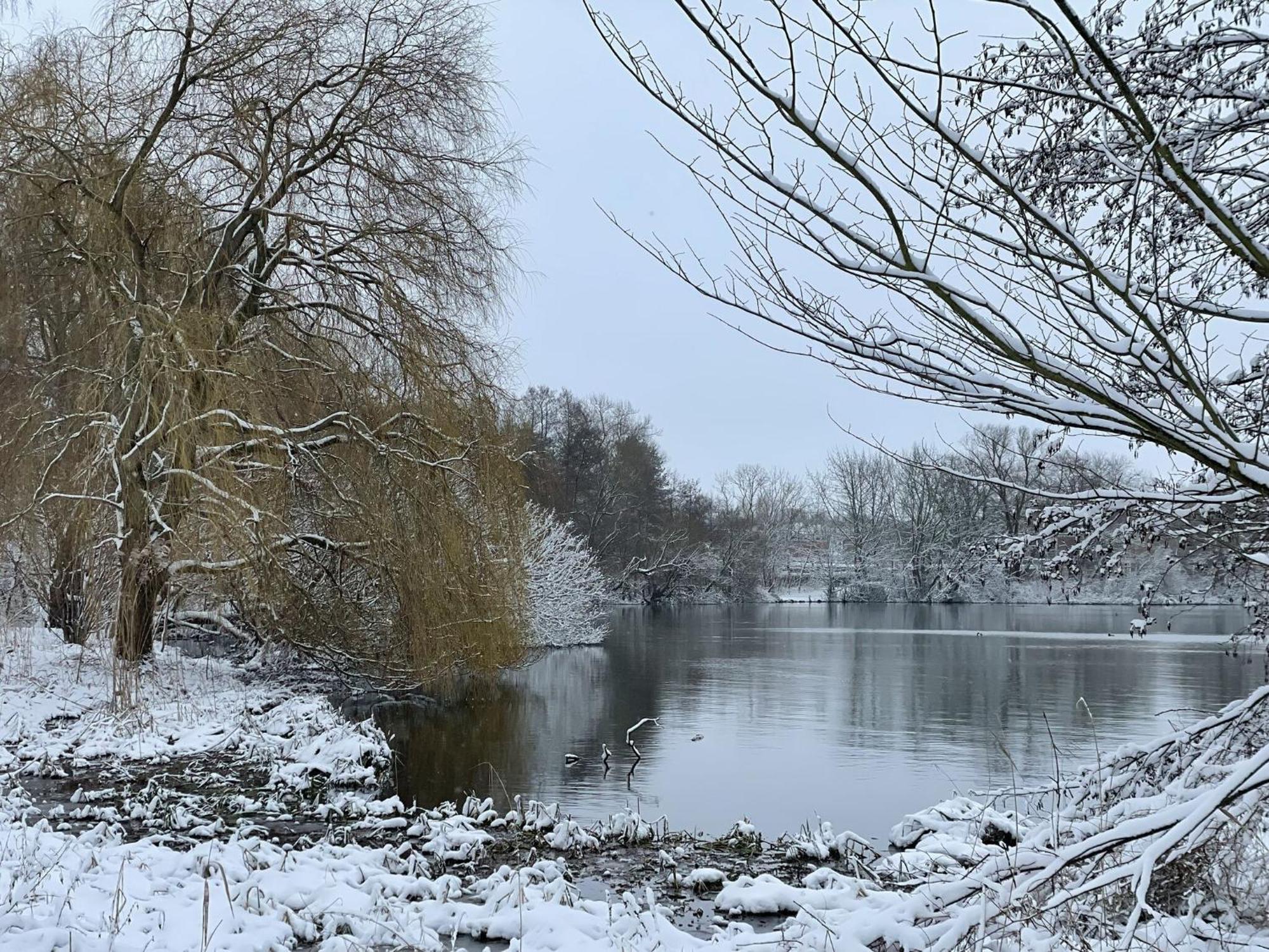 Flat In Eutin On The Kleiner Eutiner See Lake Esterno foto