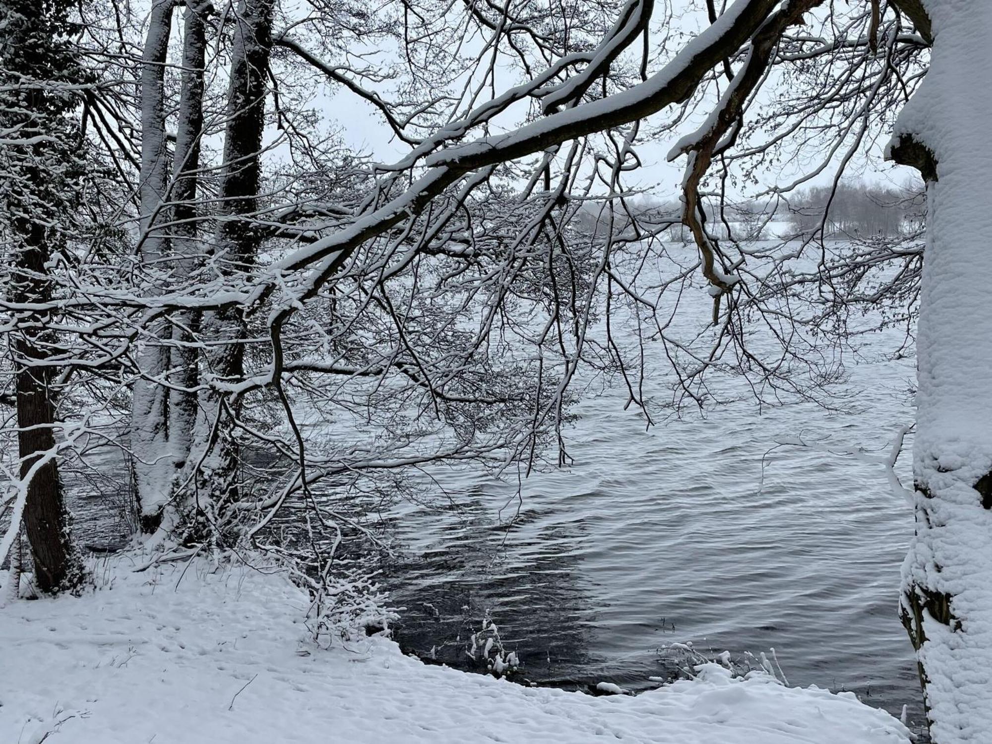 Flat In Eutin On The Kleiner Eutiner See Lake Esterno foto